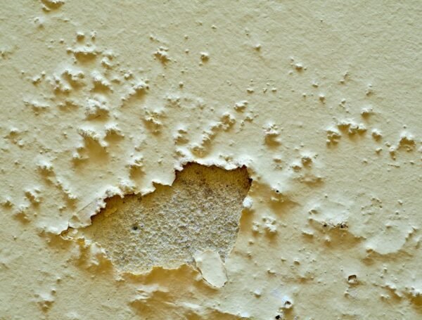 Your Guide to Effective Damp Proofing Solutions in Sri Lanka
